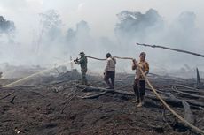 BMKG: Indonesia Berisiko Kekeringan Meteorologis, Hati-hati Karhutla