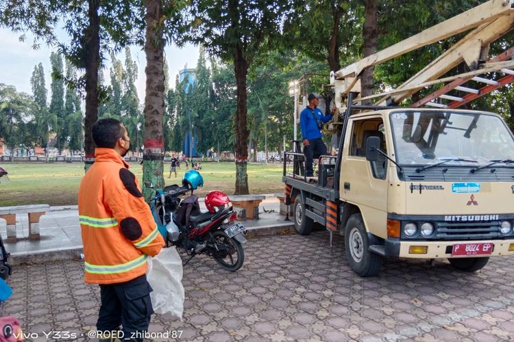 Petugas Damkar Kabupaten Situbondo, Jawa Timur, bersiap mengevakuasi sebuah sarang vespa tawon yang mengganggu kenyamanan masyarakat, Rabu (2/2/2022).