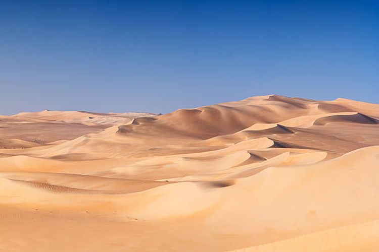 Ilustrasi Gurun Sahara, yang merupakan jenis gurun subtropis.