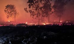 Karhutla 2025 Perparah Krisis Iklim dan Membuat Cuaca Makin Panas
