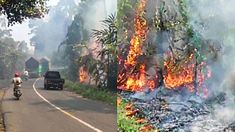 Hutan TN Bukit Barisan Selatan di Jalur Lampung-Bengkulu Terbakar, 3 Hektare Ludes
