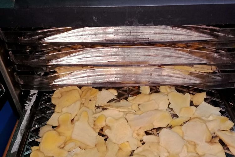 Proses pengolahan jeruk nipis bahan baku pembuatan Ramuan Ibu