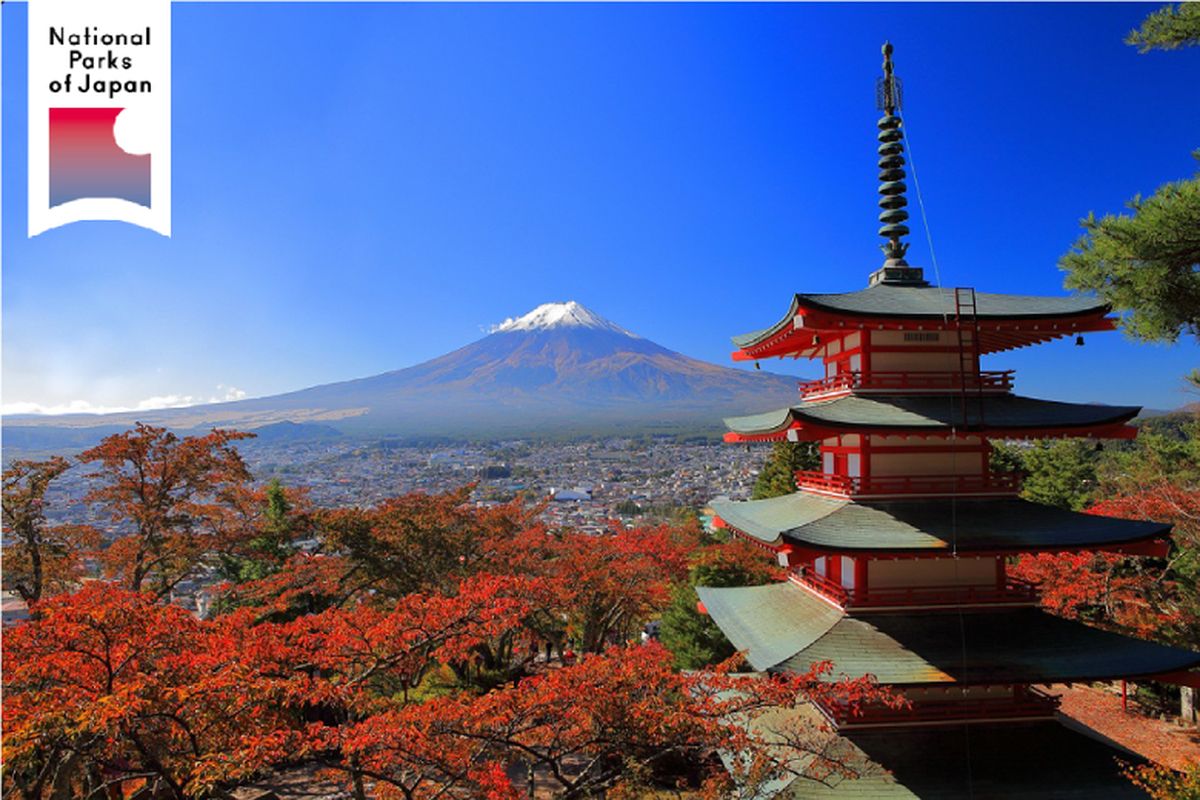 Pemandangan Gunung Fuji 