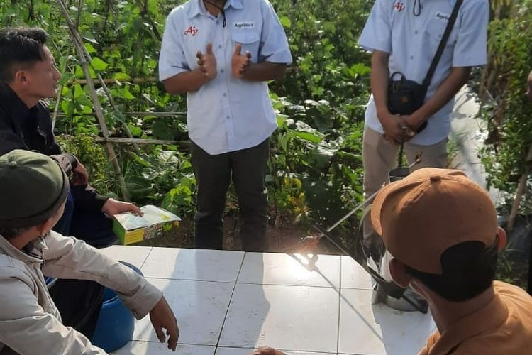 Pupuk Ajifol yang berasal dari produk samping bahan baku pembauatan penyedap rasa Ajinomoto adalah pupuk tanaman yang  memiliki sumber unsur hara mikro (yang tidak terdapat pada pupuk tanah) seperti Mn, Zn, B, dan Fe. Ajinomoto memperkenalkan Ajifol di Lembang, Kabupaten Bandung Barat, Kamis (13/7/2023).