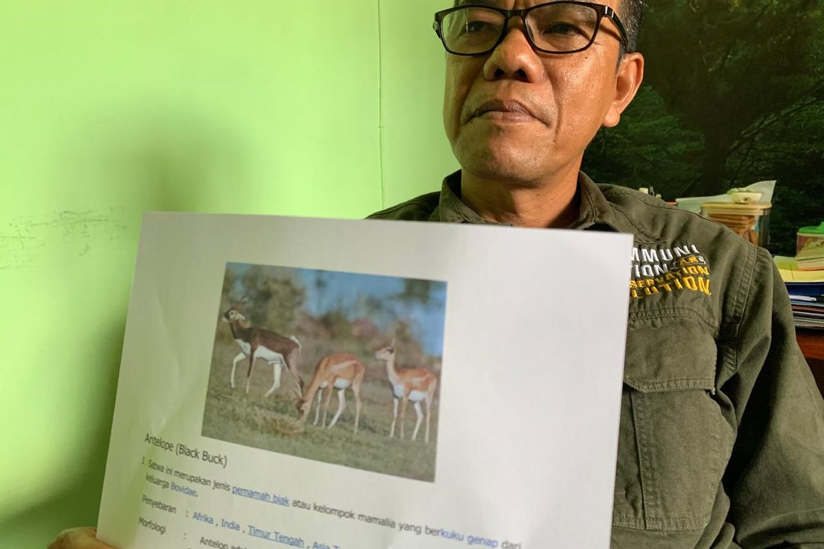 Kepala Bidang Konservasi Sumber Daya Alam Wilayah I Jawa Timur-Madiun, Agustinus Krisdijantoro menunjukkan foto satwa Antelope yang hilang dijual oknum petugas tempat wisata Madiun Umbul Square senilai ratusan juta rupiah, Rabu (4/9/2024).