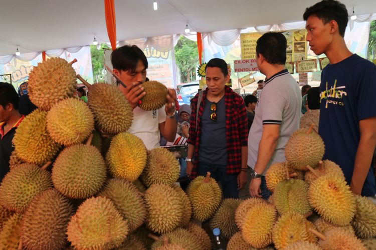 Mencium durian Bengkulu, di Festival Wisata Durian, mulai 20 November hingga 3 Desember 2017. 
