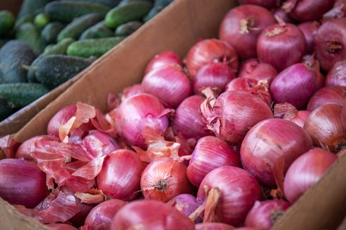 Bangun Food Estate Hortikultura di Jawa, Kementan Survei 2 Daerah Ini