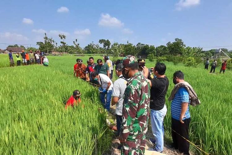 OLAH TKP—Aparat Polsek Saradan menggelar olah tempat kejadian perkara penemuan mayat ditengah sawah di Desa Tulung, Kecamatan Saradan - Kabupaten Madiun, Jawa Timur, Minggu (6/6/2021).