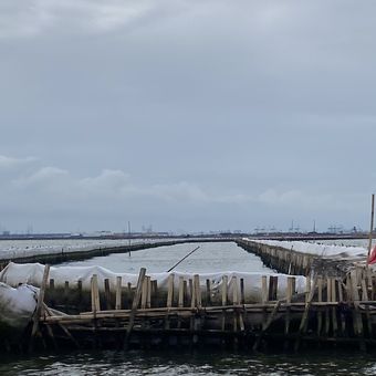 Pagar laut sepanjang lima kilometer milik PT Tunas Ruang Pelabuhan Nusantara (TRPN) membentang di perairan Kampung Paljaya, Tarumajaya, Kabupaten Bekasi, Jawa Barat.