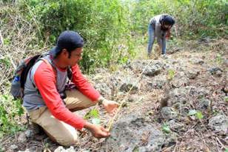Tim Balai Pelestarian Cagar Budaya Gorontalo sedang mengukur struktur batuan yang ditemukan tidak jauh dari perbentengan Otanaha. Temuan diduga seumuran benteng Otanaha, Otahiya dan Ulupahu