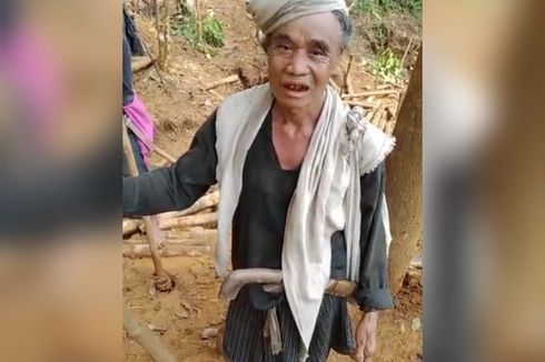 Hutan Sakral Baduy yang Dirusak Capai 2 Hektar, Ditemukan Sejumlah Lubang Tambang Emas Liar