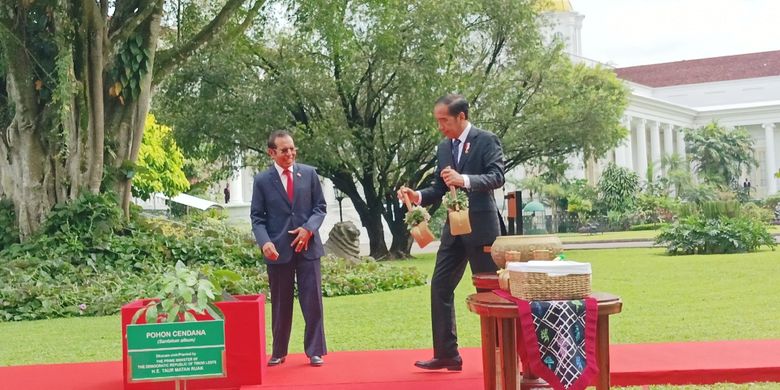 Indonesia's President Joko Widodo (right) and Prime Minister of Timor Leste Taur Matan Ruak (left) during a tree planting ceremony at the Bogor Presidential Palace, West Java province, on the outskirts of Jakarta on Monday, February 13, 2023. 