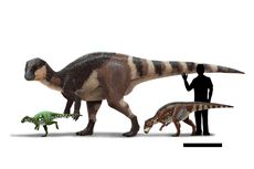 Seperti Apa Dinosaurus Eropa yang Ikonik dari Zaman Kapur?