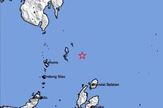 INACA Sebut Marak Penerbangan Carter Ilegal, Singgung Kasus Sewa Jet KPU