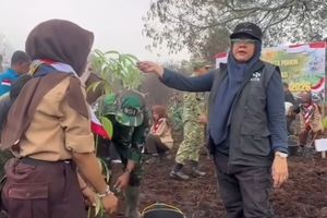 Video Bupati Siak Tanam Pohon di Bekas Karhutla Dihapus TikTok, Pengamat Singgung Relasi Penguasa dan Pemodal