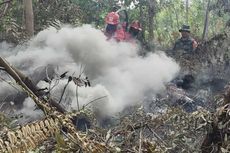 Luas Kebakaran Hutan dan Lahan di Riau 1.219 Hektare Selama 2022