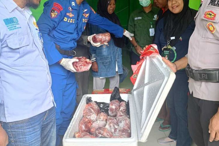 110 kg Daging Rusa Asal Papua Barat Disita BKSDA Maluku di Pelabuhan Bula