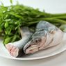 3 Cara Hilangkan Amis Ikan Patin ala Penjual, Jangan Pakai Jeruk Nipis