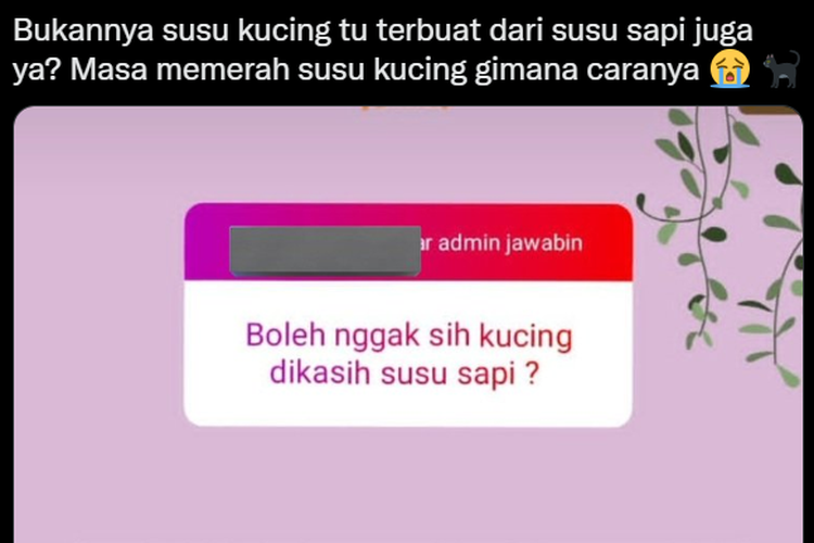 Tangkapan layar twit soal pemberian susu sapi pada kucing beredar di Twitter pada Jumat (21/10/2022).