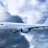 Penumpang Pesawat Bakal Melonjak 2 Kali Lipat, Target Iklim Bisa Terancam