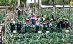 Hari Tani Nasional, Energi Terbarukan Dorong Sektor Pangan dan Kemandirian Petani