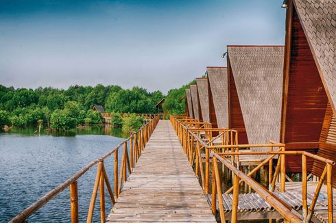 Harga Tiket Masuk dan Penginapan di Hutan Mangrove PIK