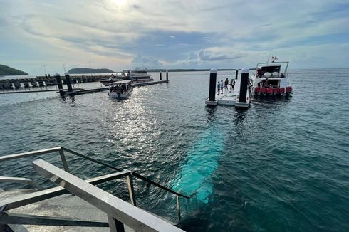 35 Orang Jatuh ke Laut Saat Jembatan Penghubung Dermaga di Nusa Penida Ambruk, Diduga Kelebihan Muatan