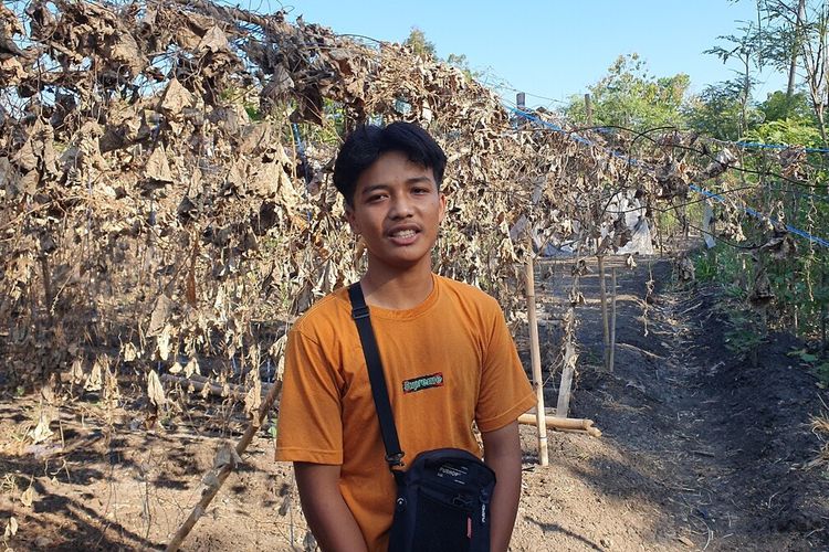 Muhammad Alva Priyandhito (17) di lahan pertanian Gambas, di Bleberan, Playen, Gunungkidul. Kamis (7/9/2023)