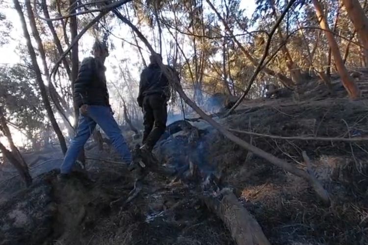 Karhutla Kawah Ijen Lahap 20 Hektare Hutan, Helikopter Tak Beroperasi Hari Ini