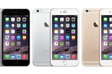 Bos Apple Kaitkan iPhone 6 dengan Pengguna Android