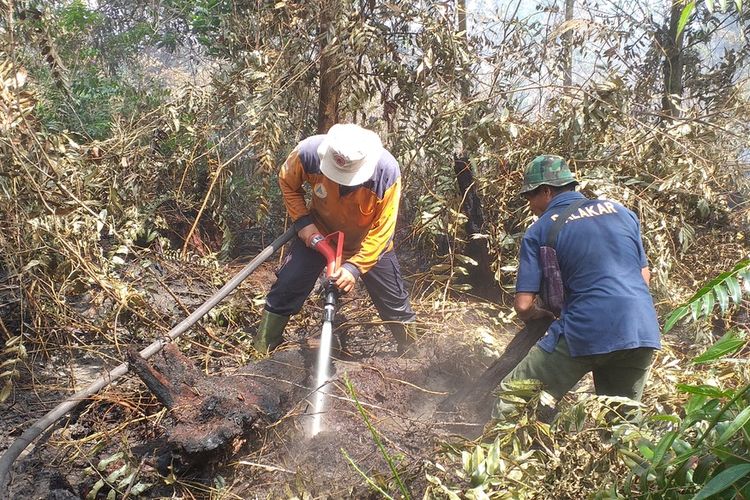 Petugas BPBD Kota Pekanbaru dan seorang anggota MPA melakukan pemadaman karhutla di Jalan Riau ujung, Kelurahan Air Hitam, Kecamatan Payung Sekaki, Kota Pekanbaru, Riau, Minggu (19/1/2020).