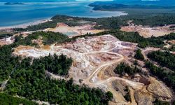 Ditambang, Pulau Citlim yang Cuma 22,94 Kilometer Persegi Rusak Parah