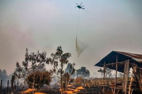 Greenpeace: Sejak 2015 hingga 2018, 3,4 Juta Hektare Lahan Terbakar 