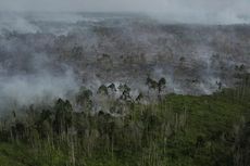 2017, Besarkah Potensi Kebakaran Hutan dan Lahan di Indonesia?