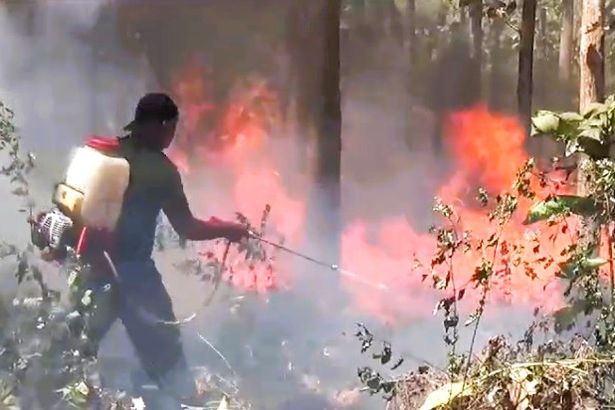 Kebakaran hutan jati terjadi di RPH Sidowayah BKPR Kedunggalar Kecamatan Kedunggalar, Kabupaten Ngawi. Kebakaran diduga oleh orang orang iseng yang tidak bertanggung jawab. Kebakaran juga terjadai di beberapa titik hutan jati dengan total kebakaran diperkirakan mencapai 3 hektar.