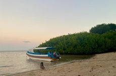 Tamasya ke Pantai Bama, Tempat Lihat Sunrise di Ujung TN Baluran