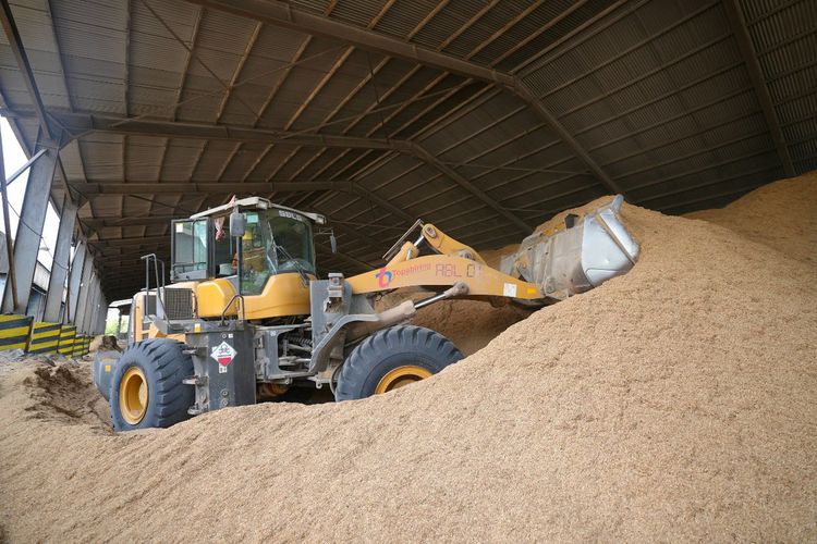 Sekam padi yang dimanfaatkan sebagai bahan bakar alternatif di PT Semen Tonasa, Pabrik Tonasa 4 dan Tonasa 5.