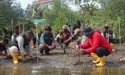Hijaukan Pesisir Pangandaran, Kementerian KP, Pemda, dan Masyarakat Tanam 700 Pohon