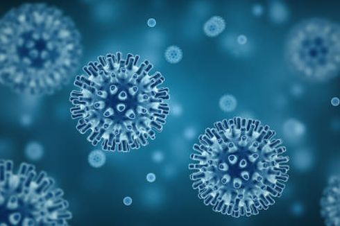 Puluhan Bayi di Eropa Terjangkit Echovirus-11 yang Mematikan, Virus Apa Itu?