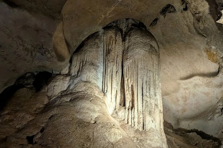 Kanguru Raksasa hingga Singa Berkantung, Kisah Megafauna Australia yang Punah