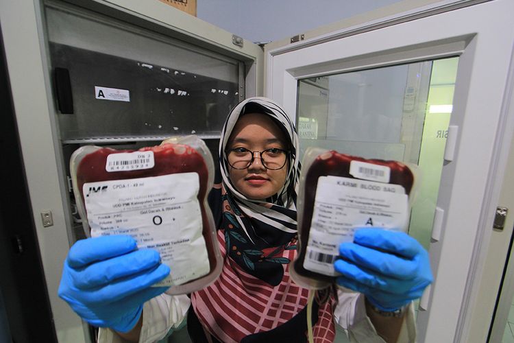 Petugas menunjukkan kantong darah di unit transfusi darah PMI Indramayu, Jawa Barat, Senin (23/3/2020). PMI Indramayu menyatakan stok darah menipis karena pemberlakuan kebijakan pembatasan sosial (Social Distancing) guna mengantisipasi wabah COVID-19.