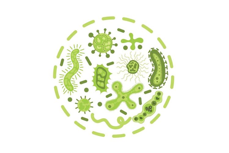 Ilustrasi bakteri, virus