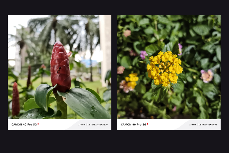 Hasil foto dengan kamera utama Tecno Camon 40 Pro 5G. 