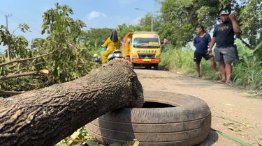 Dampak Aktivitas Tambang, Warga Pasuruan Blokade Jalan