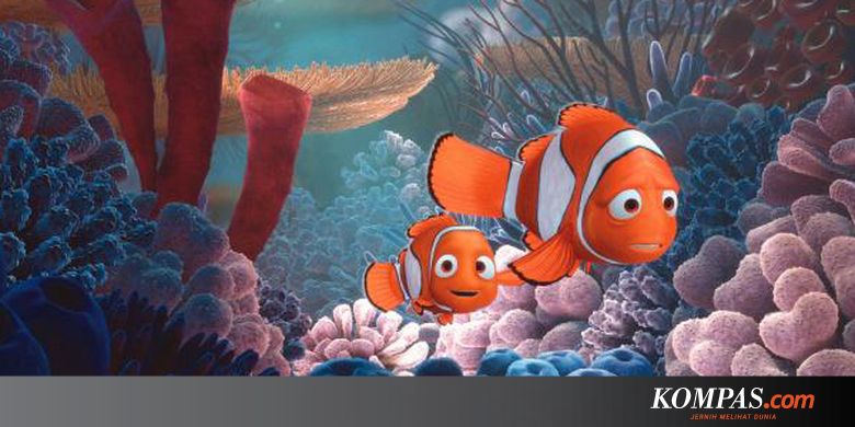 Inilah Yang Terjadi Bila Film Finding Nemo Sesuai Kenyataan