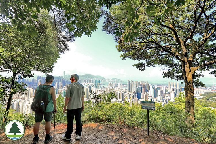 Pemandangan Eagle's Nest Nature Trail di Lion Rock Country Park (dok. https://www.afcd.gov.hk/).