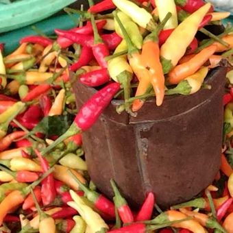 Jelang Natal dan Tahun Baru, harga cabai rawit yang dijual di pasar tradisional Karya Nugraha, Kota Baubau, Sulawesi Tenggara semakin naik. Bila sebelumnya harga cabai rawit Rp 300.000 per kilogram (kg), kini naik menjadi Rp 450.000 per Kg.