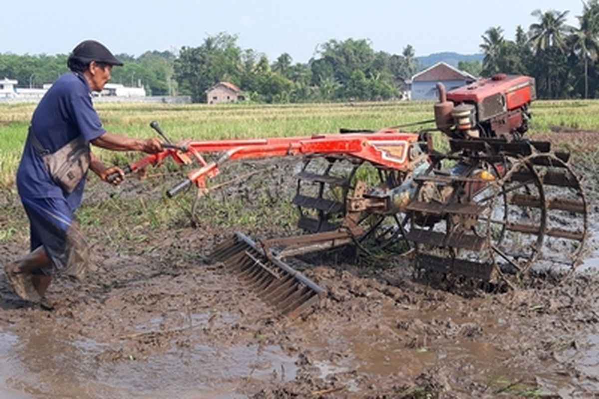 Ilustrasi mengola lahan