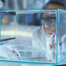 5 Alasan Tikus Sering Jadi Kelinci Percobaan dalam Penelitian Biomedis