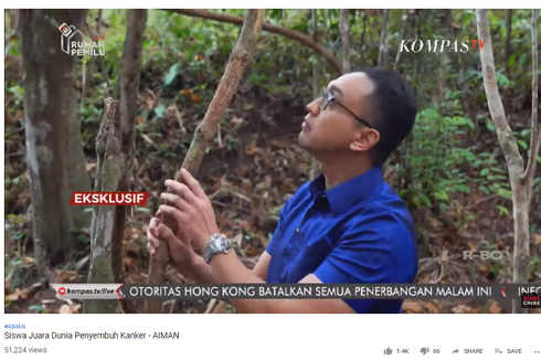 Ramai Tanaman Bajakah, dari Pedalaman Kalimantan hingga Diklaim Sembuhkan Kanker